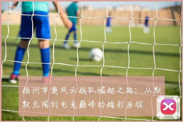 扬州华奥风云战队崛起之路：从默默无闻到电竞巅峰的精彩历程