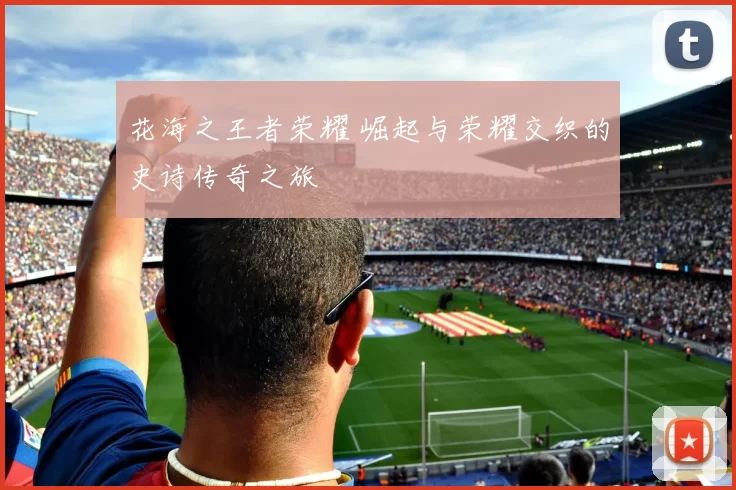 花海之王者荣耀 崛起与荣耀交织的史诗传奇之旅