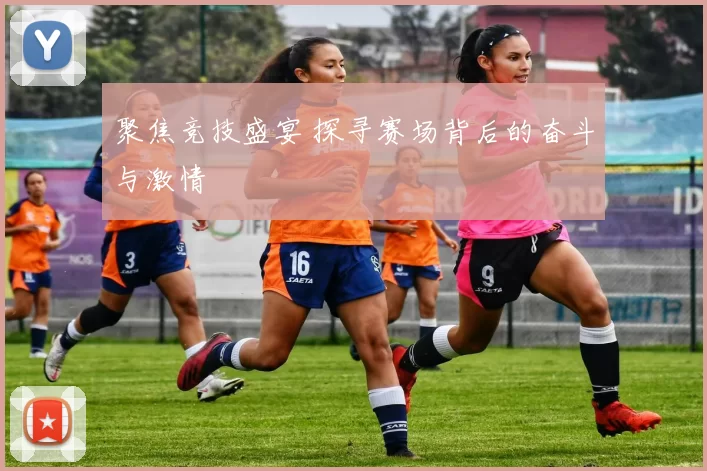 聚焦竞技盛宴 探寻赛场背后的奋斗与激情