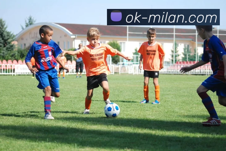 米兰milan平台生态图